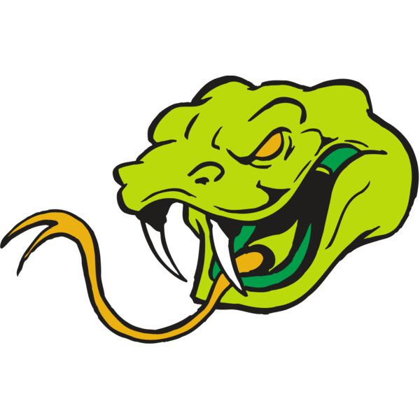 AR SNAKE 11 RC Thumbnail