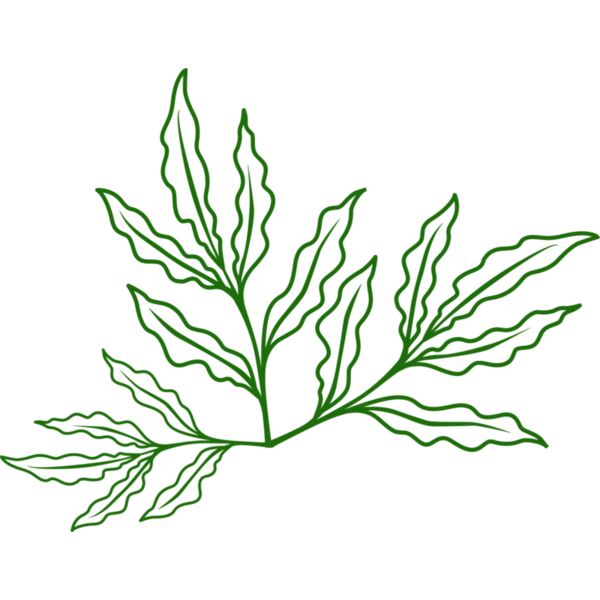 Leaves 7 Thumbnail