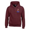 Trade youth hooded sweatshirt Thumbnail