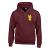 Trade youth hooded sweatshirt Thumbnail