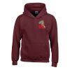 Trade youth hooded sweatshirt Thumbnail