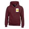 Trade youth hooded sweatshirt Thumbnail