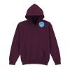 Trade youth hooded sweatshirt Thumbnail