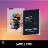 DTF Sample Box Thumbnail